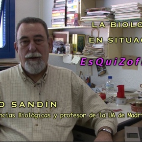 La Biología en situación esquizofrénica · Entrevista con Máximo Sandín